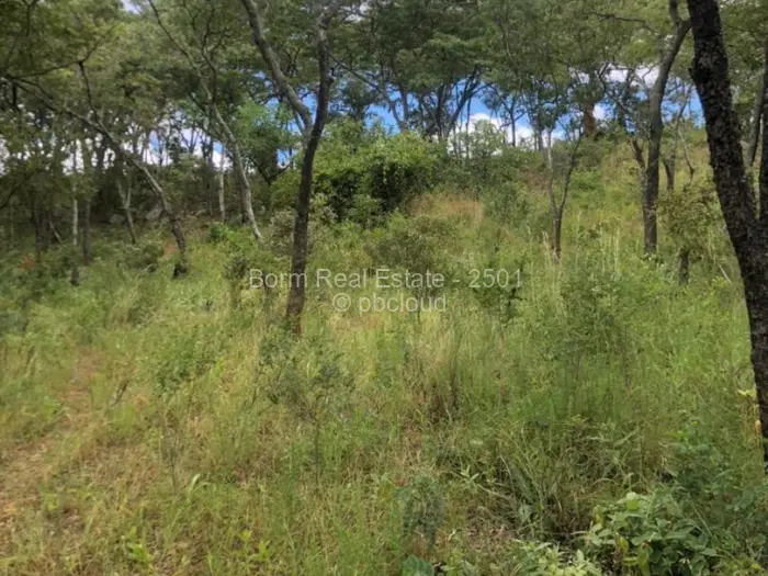 Residential Stand for Sale in Chipinge, Chipinge