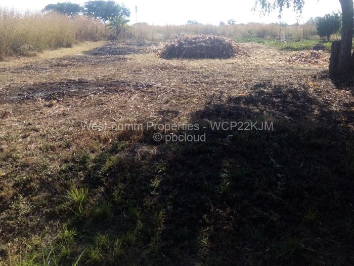 Farm/Plot for Sale in Norton, Norton