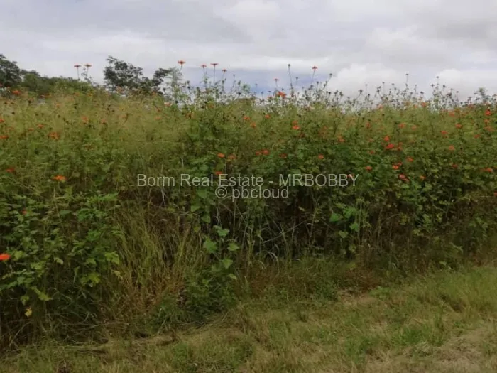 Residential Stand for Sale in Ruwa, Ruwa