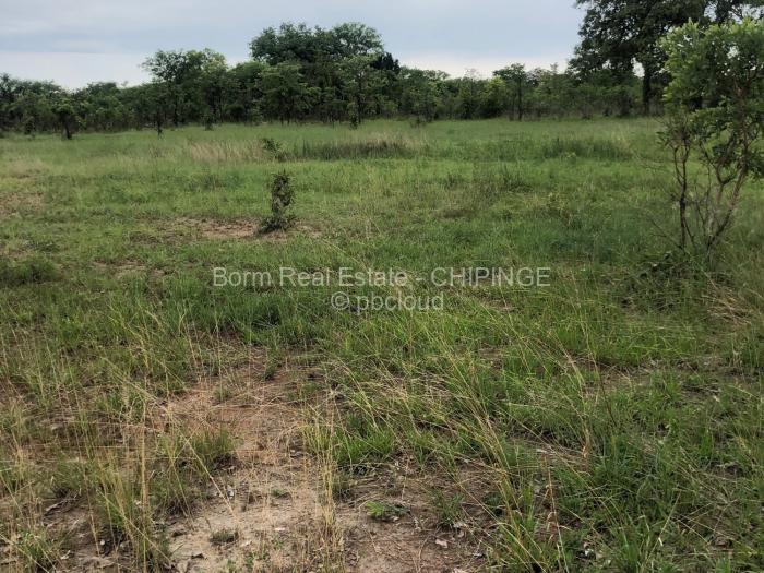 Other Commercial for Sale in Chipinge, Chipinge