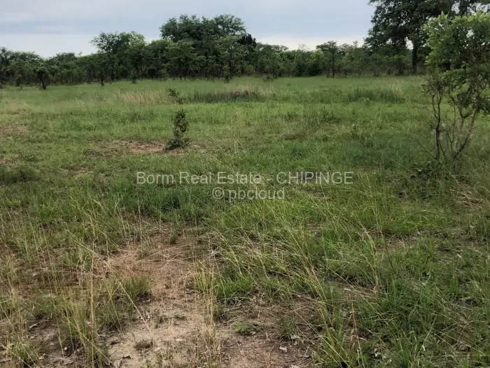 Other Commercial for Sale in Chipinge, Chipinge