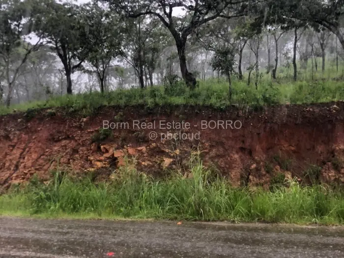 Residential Stand for Sale in Borrowdale, Harare