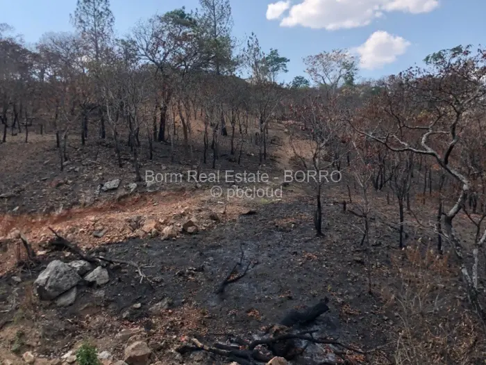 Residential Stand for Sale in Borrowdale, Harare