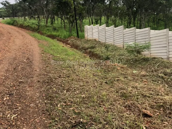 Residential Stand for Sale in Borrowdale, Harare