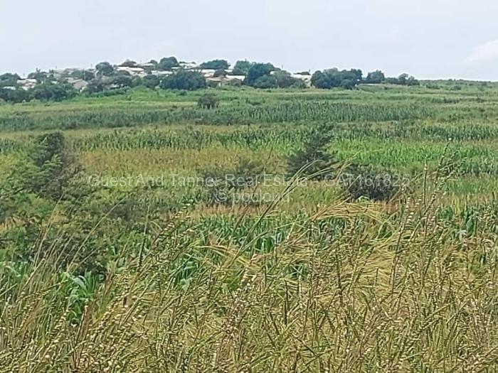 Commercial Stand for Sale in Karoi, Karoi