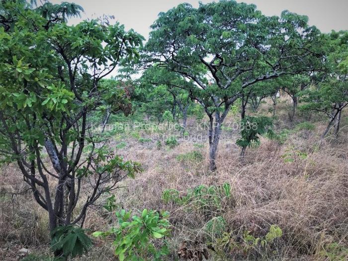 Farm/Plot for Sale in Glen Lorne, Harare