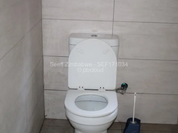 5 Bedroom House to Rent in Glen Lorne