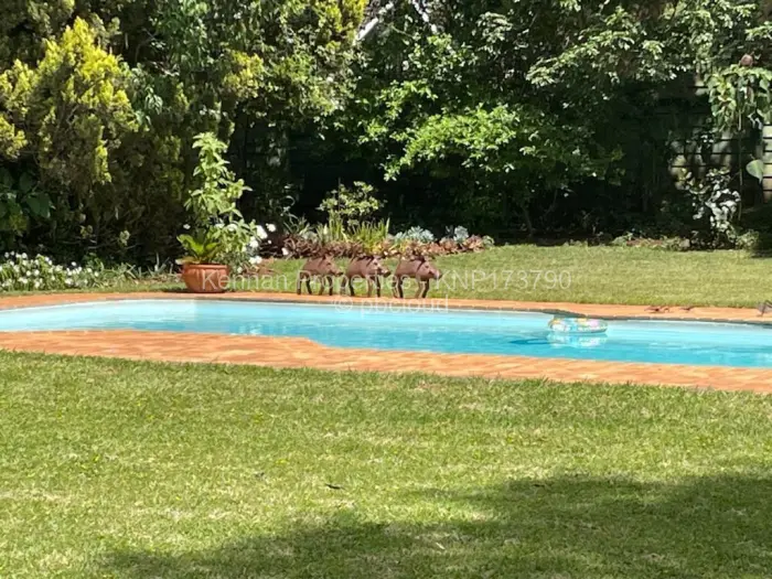 5 Bedroom House to Rent in Gunhill