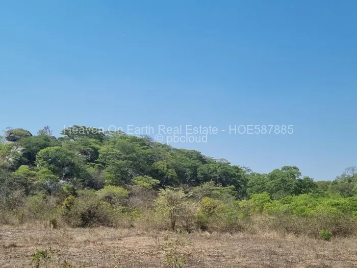 Land for Sale in Masvingo, Masvingo