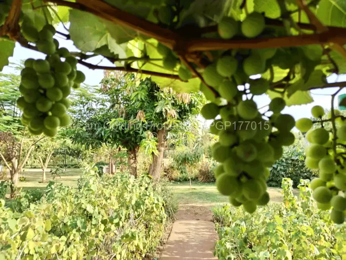 6 Bedroom House for Sale in Kadoma, Kadoma