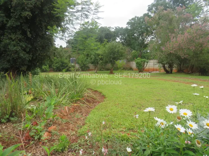 3 Bedroom Cottage/Garden Flat to Rent in Mandara