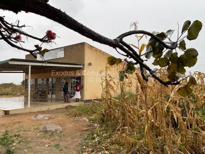 Warehouse/Industrial for Sale in Granary Park, Harare