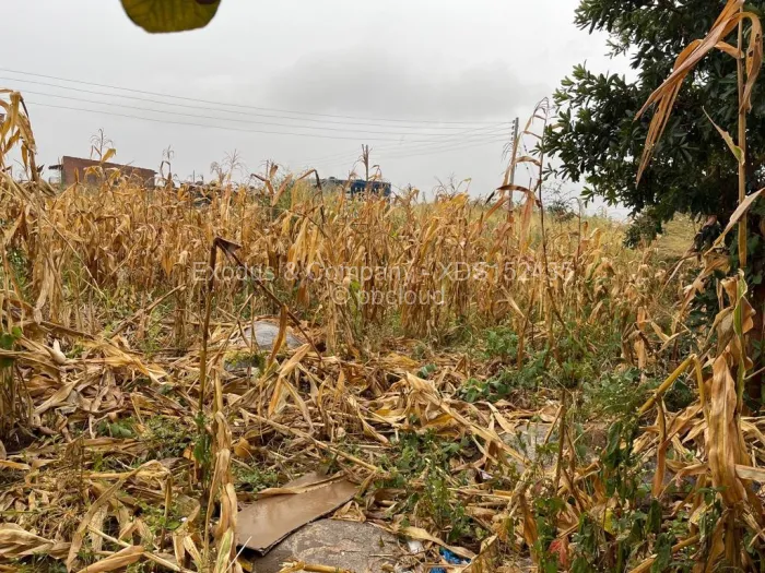 Warehouse/Industrial for Sale in Granary Park, Harare