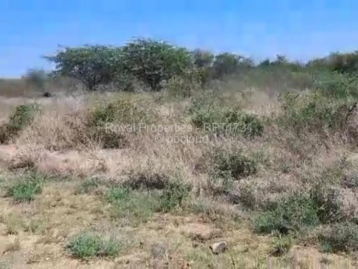 Residential Stand for Sale in Bulawayo City Centre, Bulawayo