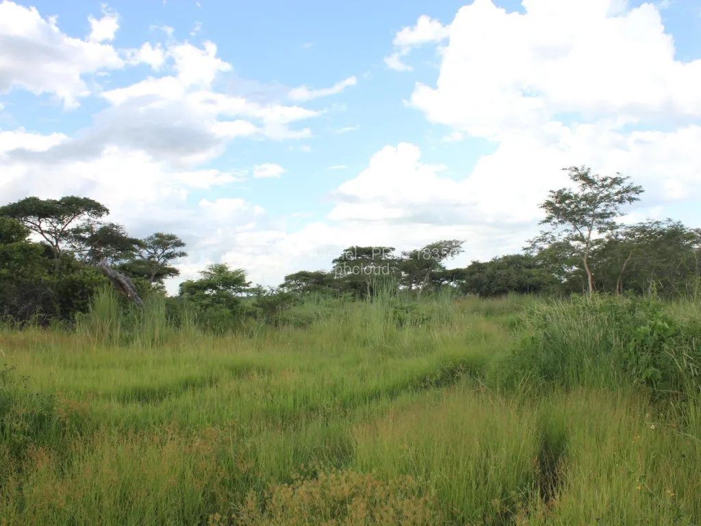 Land for Sale in Norton, Norton