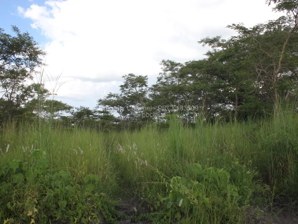 Land for Sale in Norton, Norton