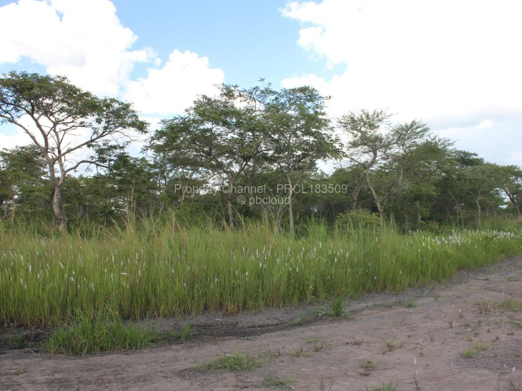 Farm/Plot for Sale in Norton, Norton