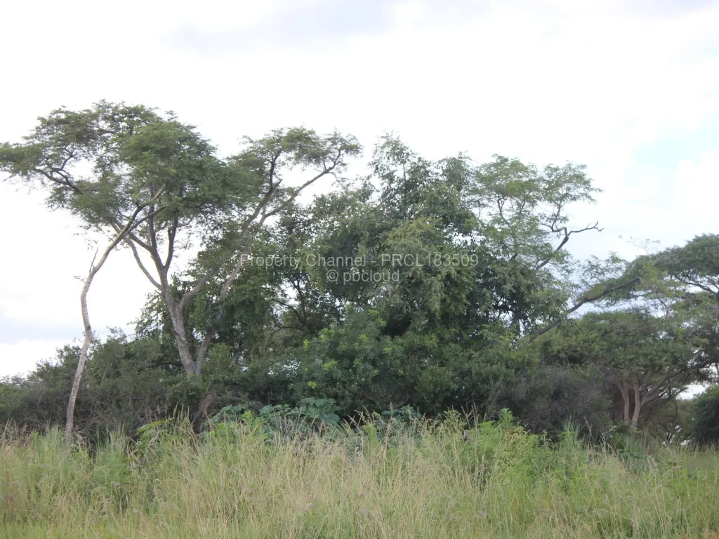 Land for Sale in Norton, Norton