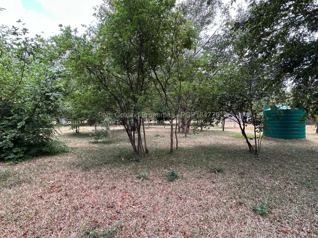 Stand for Sale in Victoria Falls, Victoria Falls
