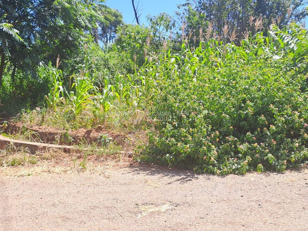 Residential Stand for Sale in Borrowdale, Harare