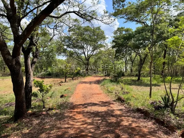 2 Bedroom House for Sale in Christon Bank, Christon Bank