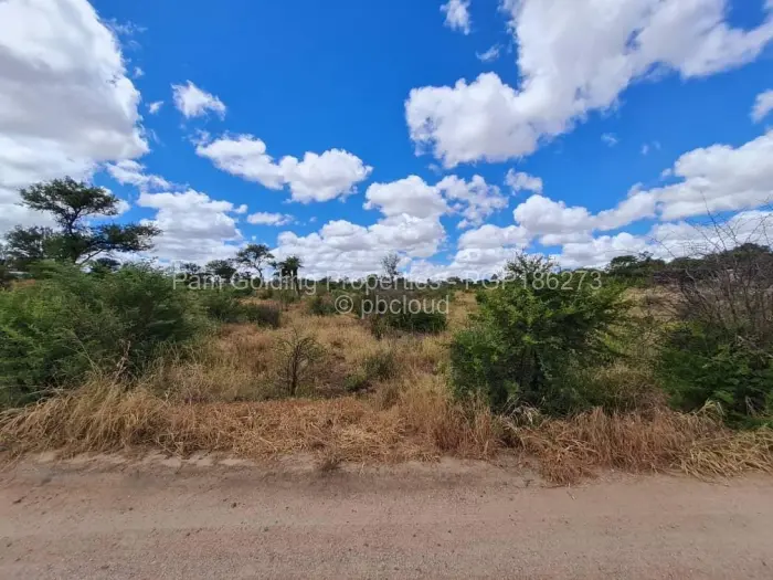 Farm/Plot for Sale in North Trenance, Bulawayo