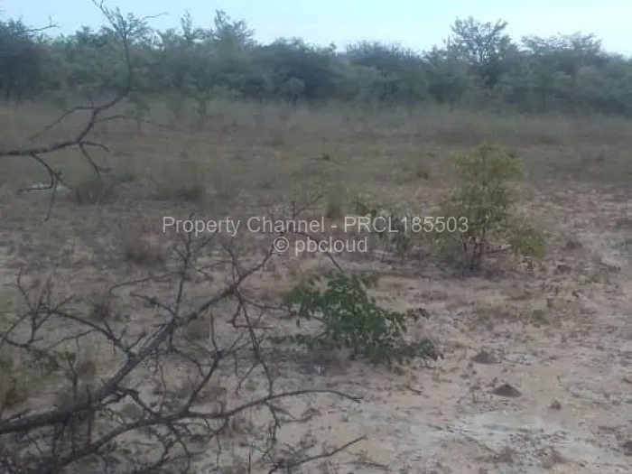 Farm/Plot for Sale in Bulilimamangwe, Bulilimamangwe
