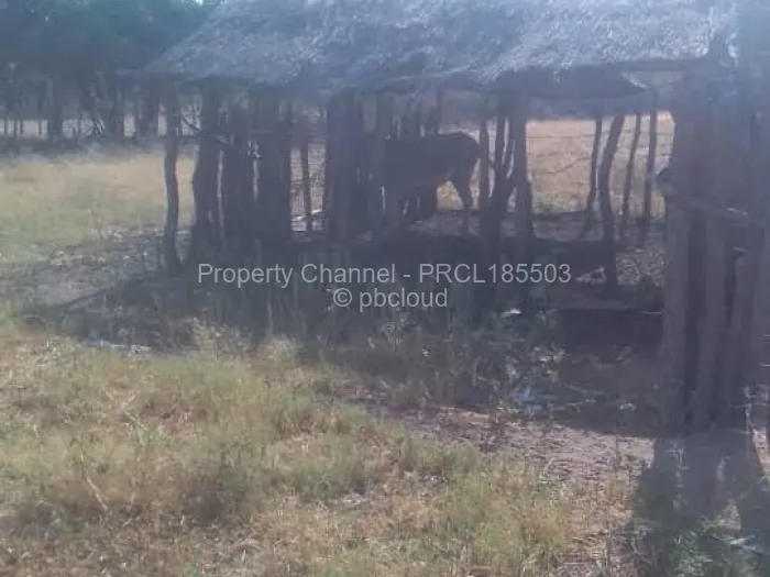 Farm/Plot for Sale in Bulilimamangwe, Bulilimamangwe