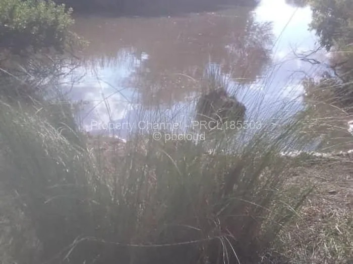 Farm/Plot for Sale in Bulilimamangwe, Bulilimamangwe