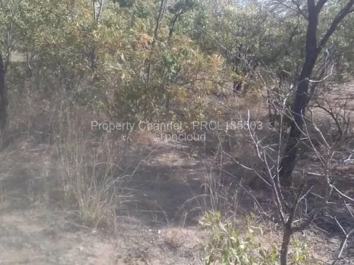 Farm/Plot for Sale in Bulilimamangwe, Bulilimamangwe