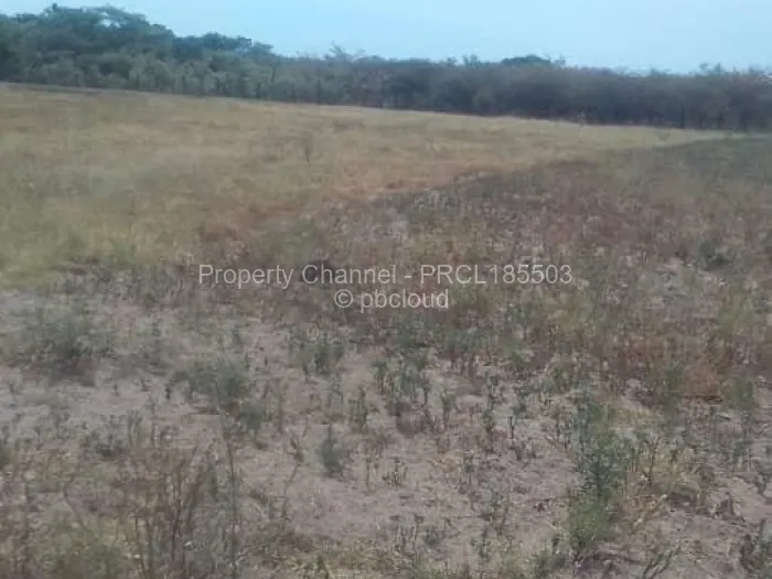 Farm/Plot for Sale in Bulilimamangwe, Bulilimamangwe