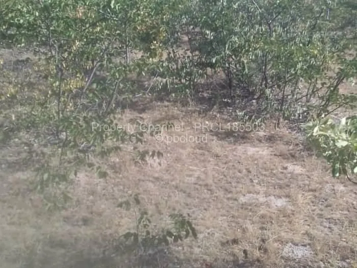 Farm/Plot for Sale in Bulilimamangwe, Bulilimamangwe