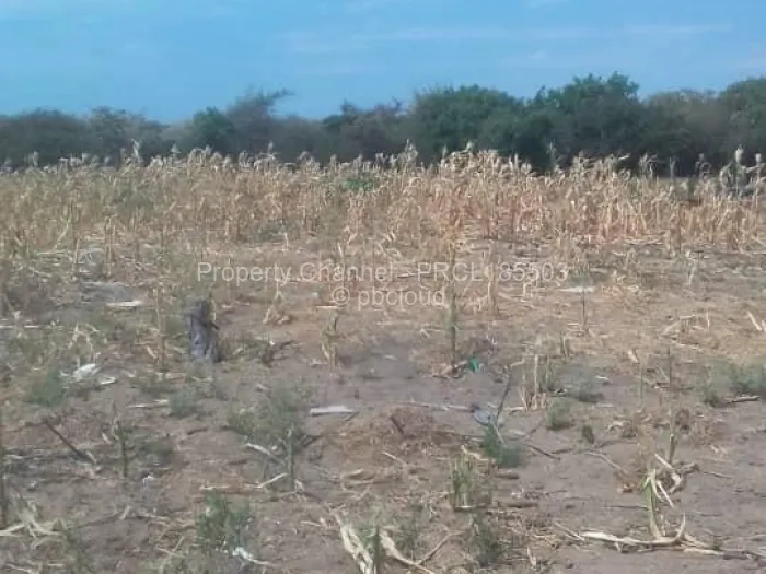Farm/Plot for Sale in Bulilimamangwe, Bulilimamangwe