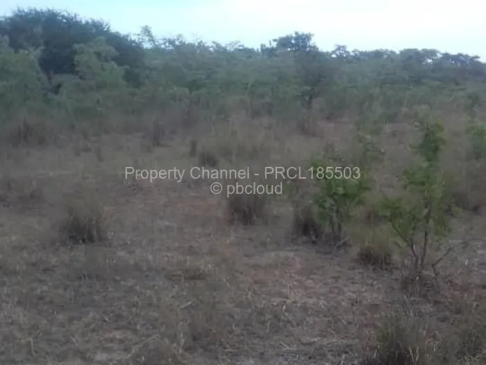 Farm/Plot for Sale in Bulilimamangwe, Bulilimamangwe