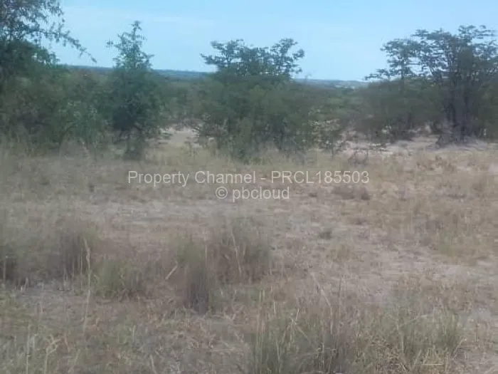 Farm/Plot for Sale in Bulilimamangwe, Bulilimamangwe