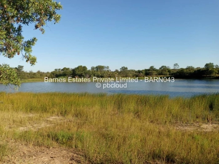 Farm for Sale in Nyamandlovu