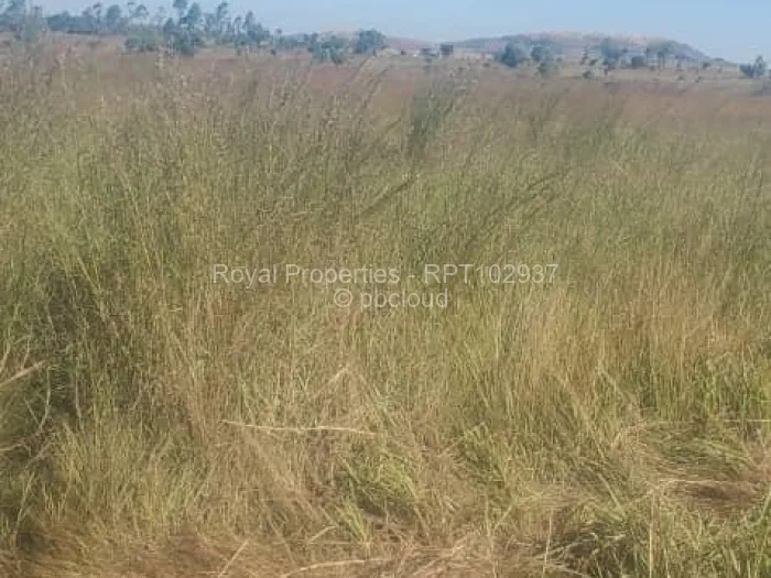 Industrial Stand for Sale in Mvurwi, Mvurwi