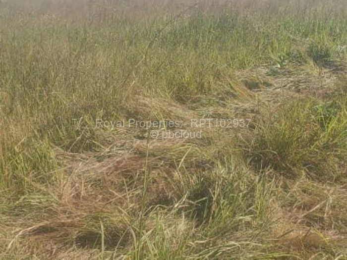 Industrial Stand for Sale in Mvurwi, Mvurwi