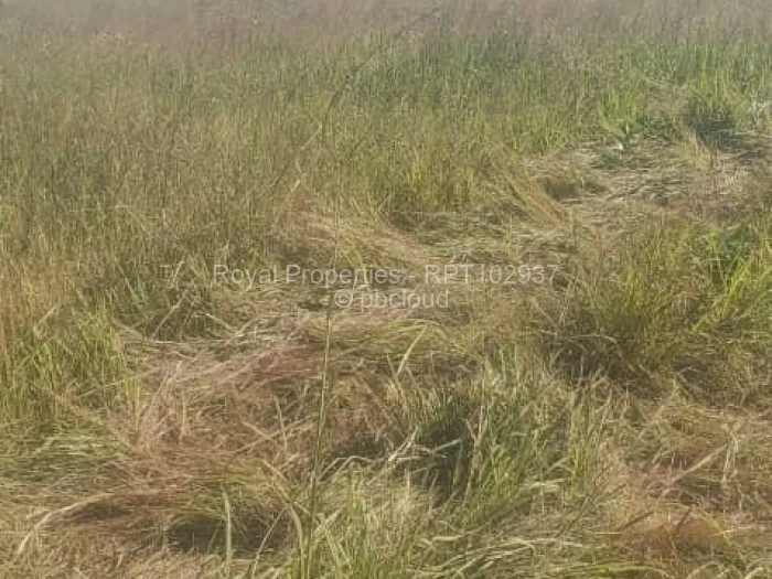 Industrial Stand for Sale in Mvurwi, Mvurwi