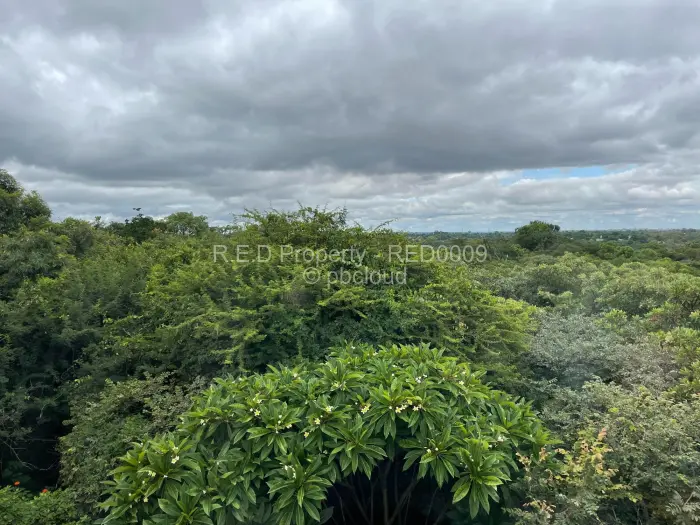 4 Bedroom House for Sale in Burnside, Bulawayo