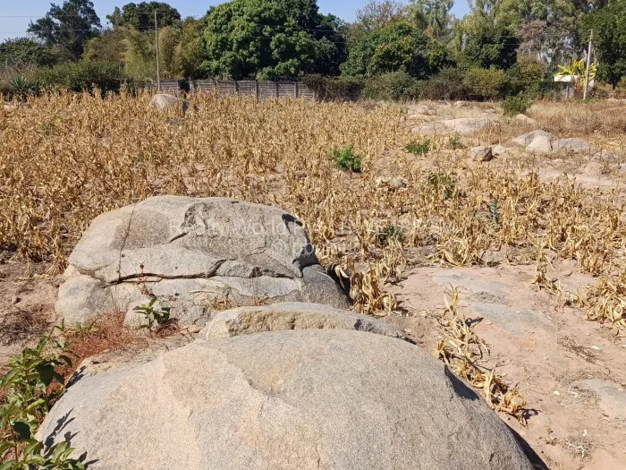 Commercial Stand for Sale in Logan Park, Harare