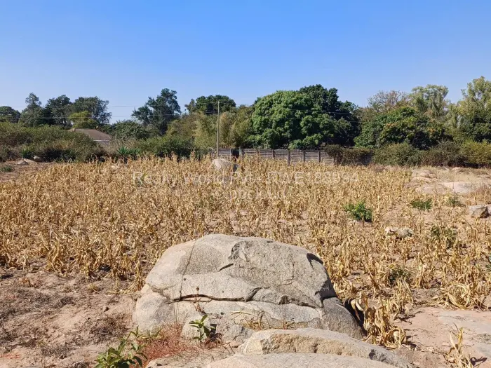 Commercial Stand for Sale in Logan Park, Harare