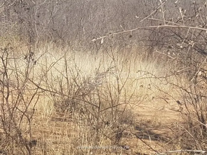 Farm/Plot for Sale in Gwanda, Gwanda