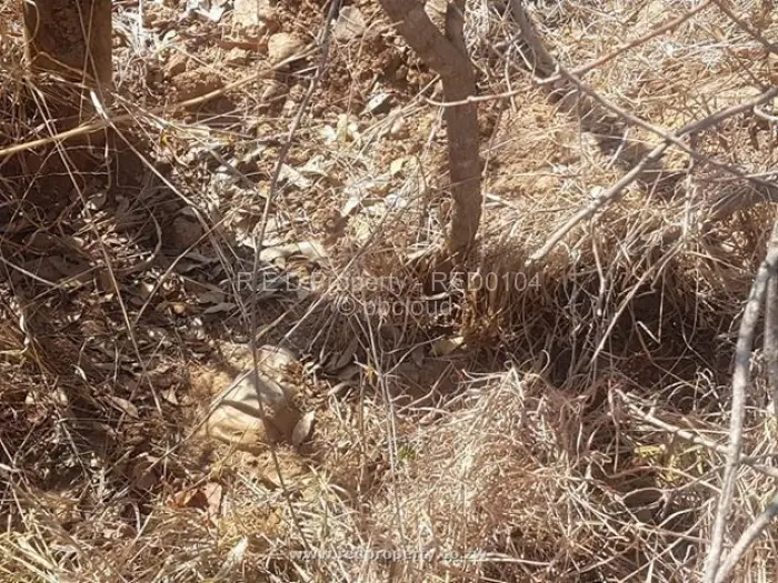 Farm/Plot for Sale in Gwanda, Gwanda