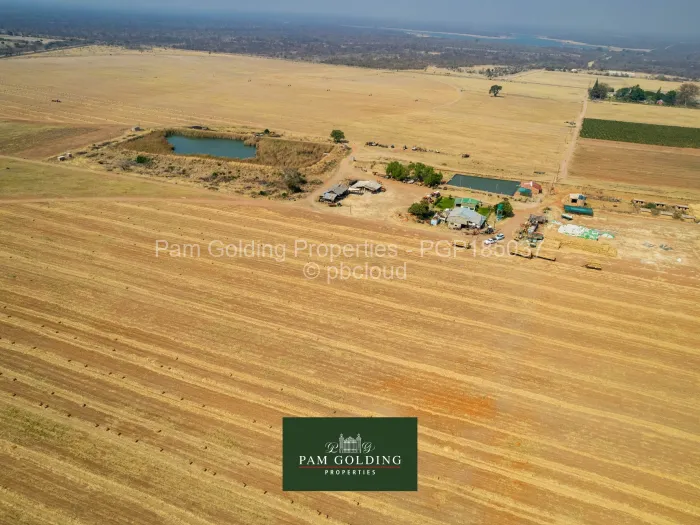 Farm for Sale in Figtree, Figtree