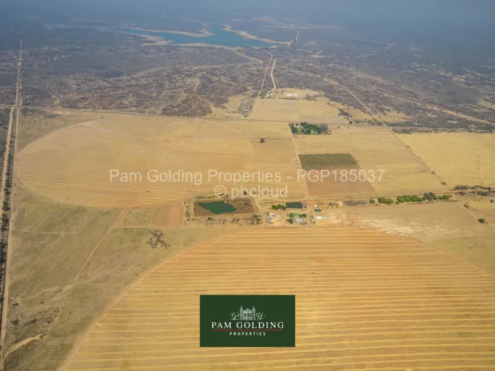 Farm for Sale in Figtree, Figtree