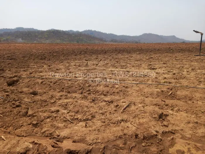 Farm/Plot for Sale in Bindura, Bindura
