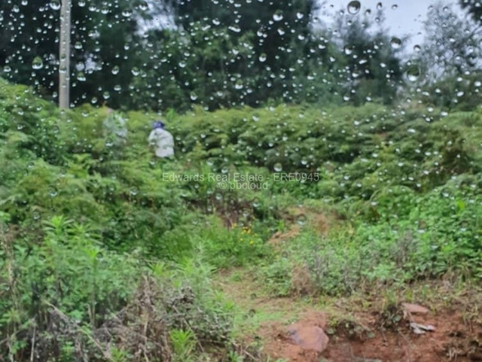 Farm/Plot for Sale in Chimanimani, Chimanimani