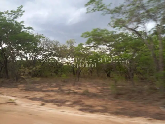 Land for Sale in Gweru East
