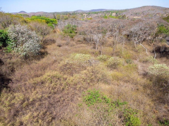 Commercial Stand for Sale in Umwinsidale, Harare